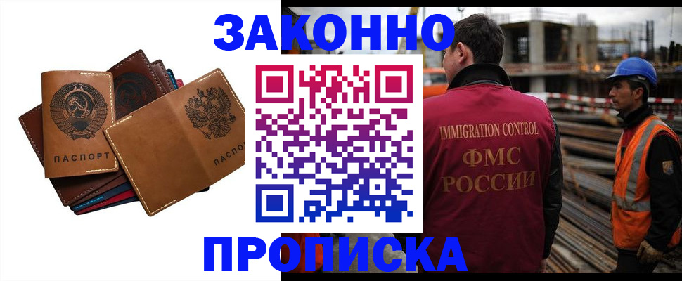 прописка в Вольске